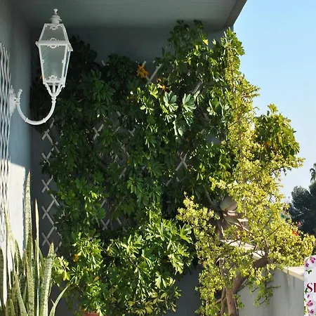 Silvana Bed & Breakfast