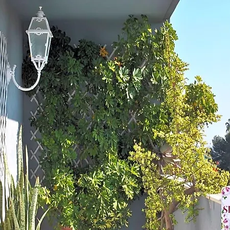 Silvana Bed & Breakfast 3*