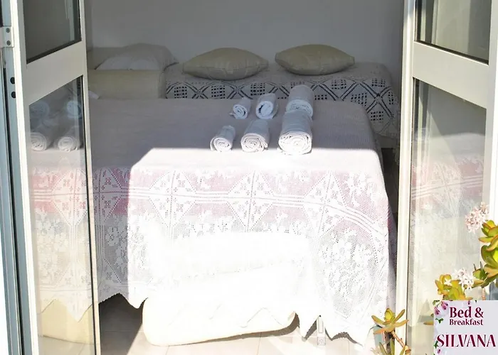 Silvana טאראנטו